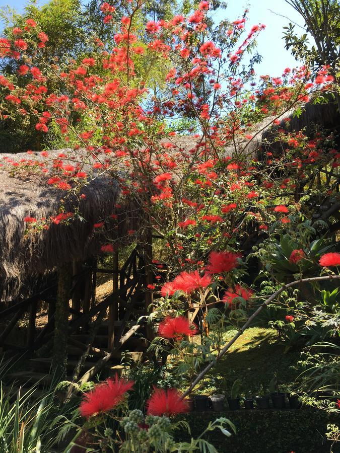 Pousada Casa De Maua วิสกอนจิ จิ เมาอา ภายนอก รูปภาพ