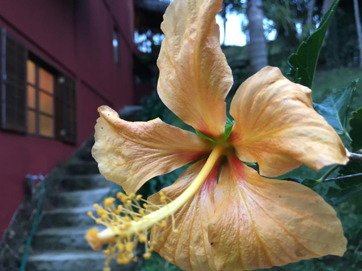 Pousada Casa De Maua วิสกอนจิ จิ เมาอา ภายนอก รูปภาพ